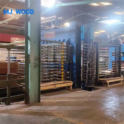 Pressa per compensato